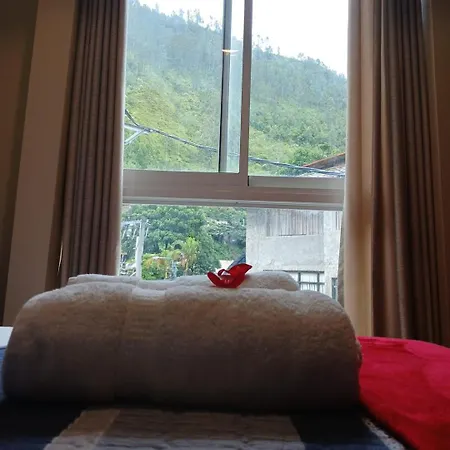 Haylli Cafe Oro Hotel